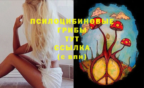 метадон Анжеро-Судженск