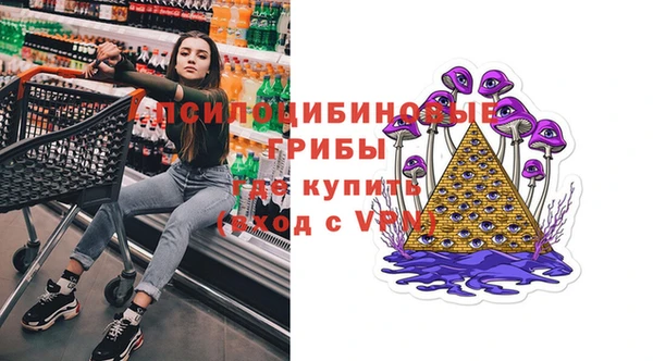 СК Апатиты